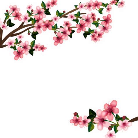 Japanese Flowering Cherry PNG Transparent Image SVG Clip arts download png image