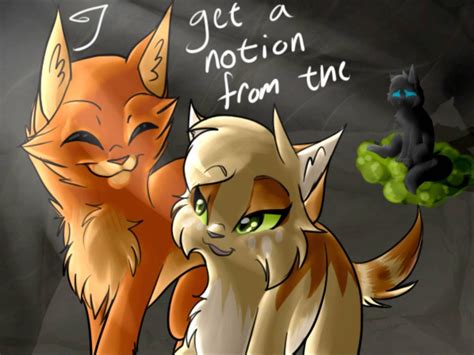 Fireheart And Sandstorm Love