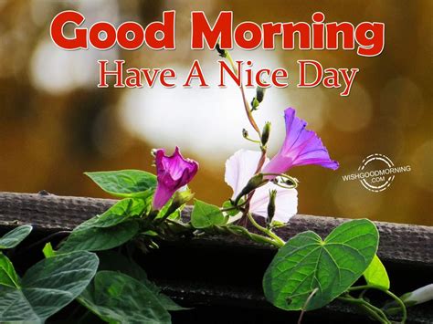 Have A Nice Day Good Morning Good Morning Pictures