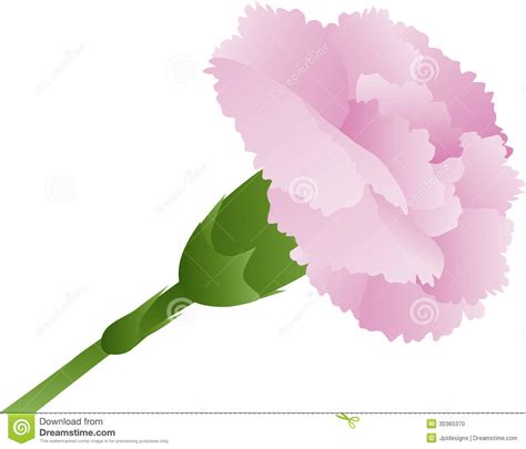 We did not find results for: Pink Carnation Flower Illustration Stock Photo - Image ...