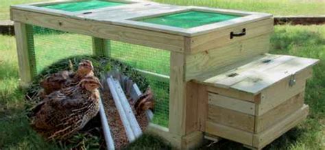 Have fun with your recycled hay rack! 18 DIY Quail Hutch Ideas And Designs