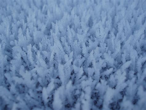 Photo Of Winter Frost Free Christmas Images