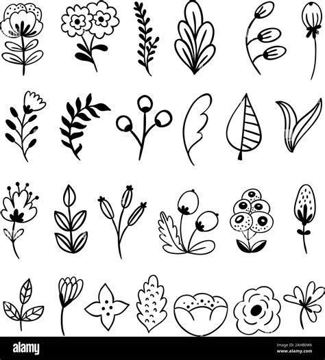 Vector Collection Of Hand Drawn Flowershand Drawn Monochrome Flowers