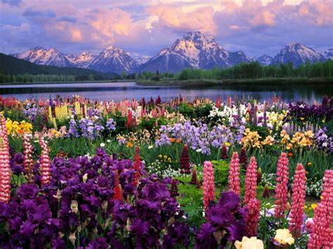 Breathtaking Photo Of Spring In Alaska Beautiful Nature Beautiful