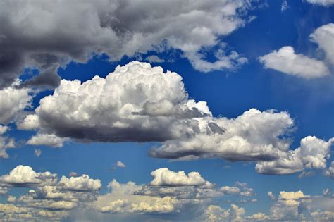 Cumulus Clouds Definition Examples And Forms