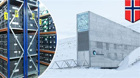 ‘doomsday Vault Norway How The Svalbard Global Seed Vault Works