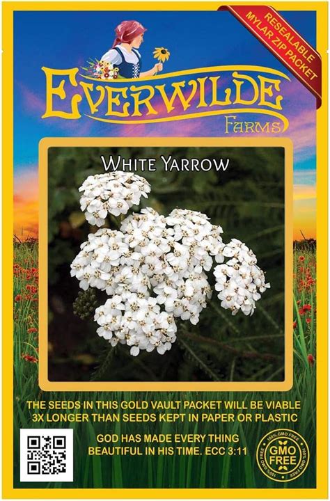 Everwilde Farms 2000 Western Yarrow Native Wildflower