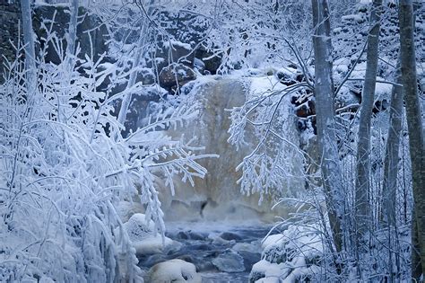 Hd Wallpaper Sweden Winter River Creek Tree Forest Snow Frost
