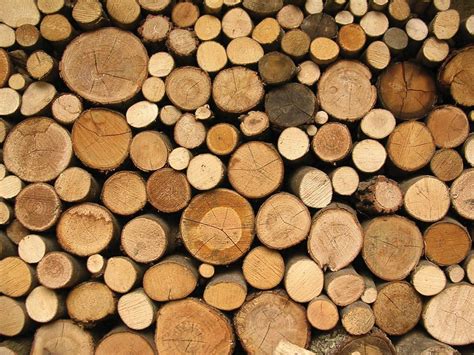 ما يميز الخشب الصلب عن اللين