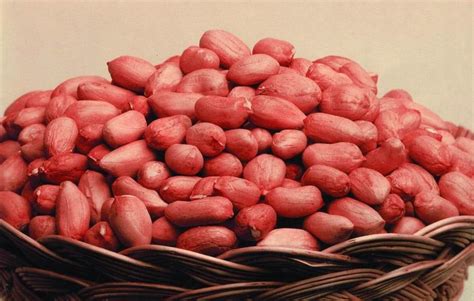 One Of The Top Ten Longevity Food Peanuts