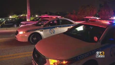 Documents show details of a crime spree involving two women at center