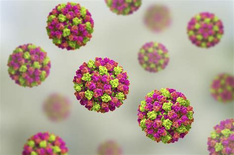 Norovirus Overview And More