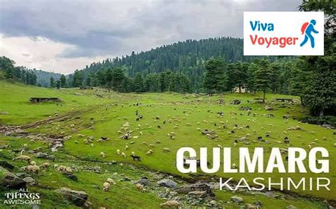 There are numerous jama masjid's across india each with their own unique traditions, architectur (read more) e, history and customs. #Gulmarg #India #JammuAndKashmir #outdoors #nature #tree # ...