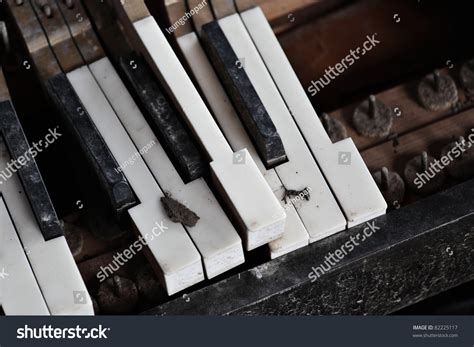 Broken Piano Key Stock Photo 82225117 Shutterstock