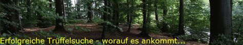 Netflix ist mitte september nicht nur in deutschland gestartet, sondern unter anderem auch in frankreich. Trüffelsuche und Trüffeljagd in Deutschland, Schweiz ...