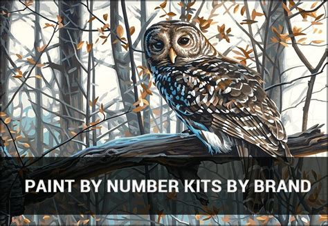 Paint By Number Kits for Adults | Fantastic Selection of PBN Kits wide