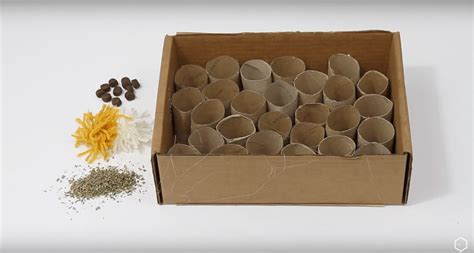 You can do so much with toilet paper rolls or paper towel rolls. DIY Cat Toys: Puzzle Box