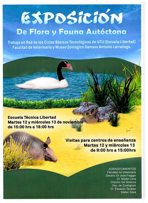 exposición de flora y fauna autóctona en la escuela técnica libertad portal institucional de