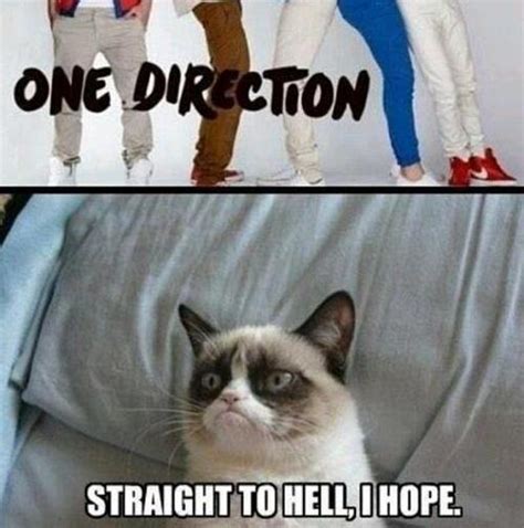 One Direction Cat Meme Cat Planet Cat Planet
