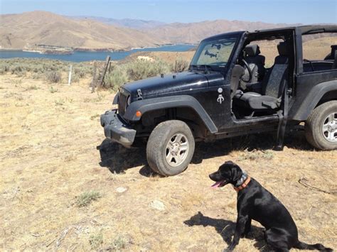 Jeep wranglers are designed with removable body components, like the top and doors. Take them doors off and show off ;) - Page 2 - Jeep ...