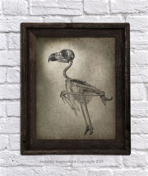 Bird Skeleton Anatomy Goth Art Printable Instant Download Halloween