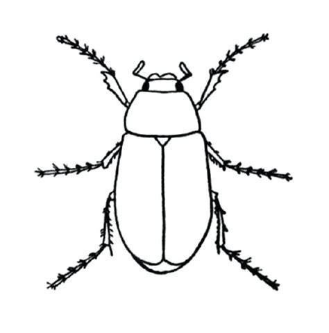 Purchase the bugs, insects and spiders coloring book for adults now! Realistic Insect Coloring Pages at GetDrawings | Free download