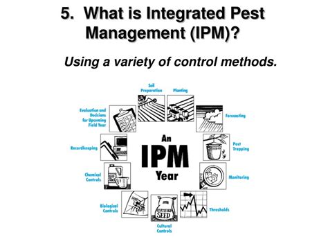 PPT - 1. What is the key to effective integrated pest ...
