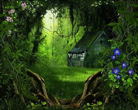 Free Download Dark Forest Forest House Lovely Colors Bonito