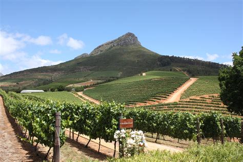 Cape Winelands Makes Lonely Planets Top 10 Travel Destinations For 2020