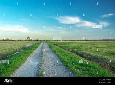 An Empty And Straight Gravel Road Through Green Meadows Stock Photo Alamy