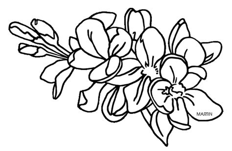 Free Apple Blossom Clip Art 10 Free Cliparts Download Images On