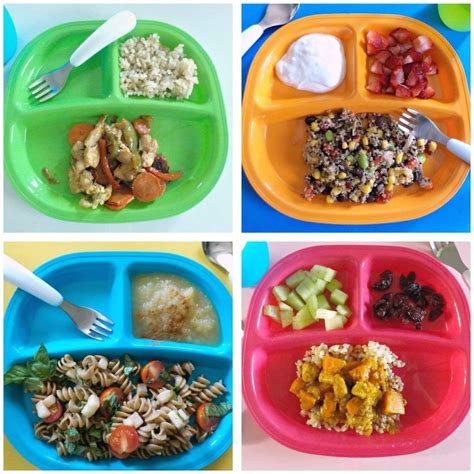 10 Ideal Lunch Ideas For 1 Year Old 2024