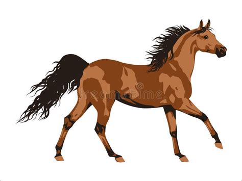 Vector Illustration Of Wild Horses Running A Graceful Brown Horse A