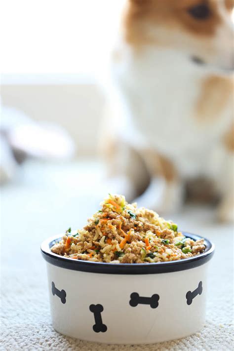 Homemade Meals To Make For Your Dogs, how to make homemade dog food, homemade puppy food recipes