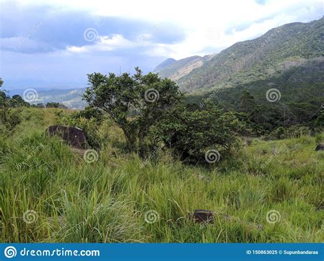 Natural Beauty Of Sri Lanka Stock Image Image Of Landscape Natural