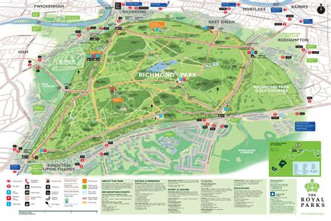 Buy local art & photography, gifts and experiences. Richmond park, London park, Richmond london