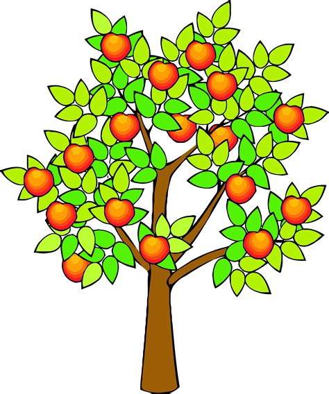 Spring Green Tree Clipart Png Fruit Tree Clip Art Transparent Png