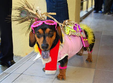 Some video clips for viewing. Kaamatan Harvest Festival in Sabah - Malaysia Asia