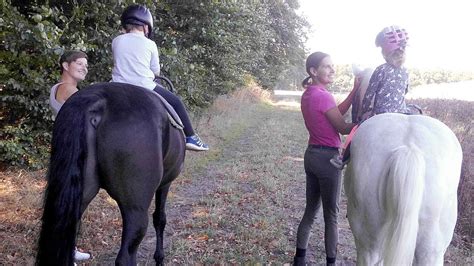 Heilpädagogisches Reiten Pferd als Partner der Kinder stärkt