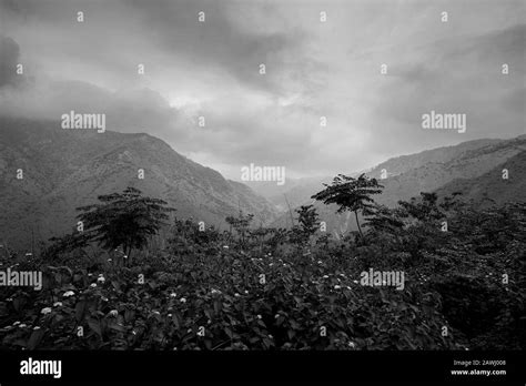 Black And White Landscape Scene Stock Photo Alamy