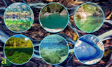 Discover 6 Of The Clearest Rivers In The World Az Animals