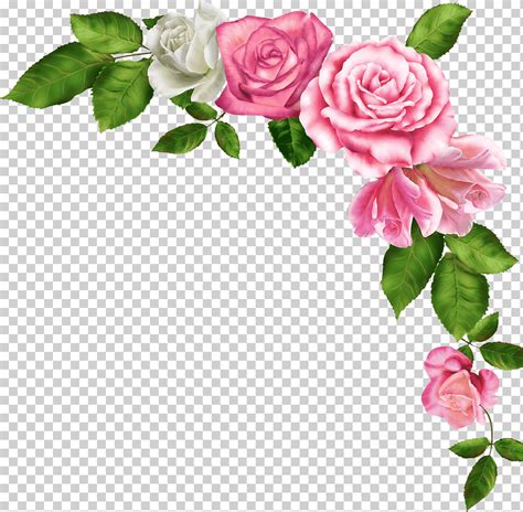 Clipart Floral Marcos De Flores De Acuarela Y Bordes Rosas Disenos Images