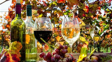 Autumn Wine Pairing Event Sky Meadow Country Club Nashua Nh