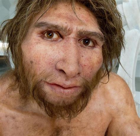 Denisovaner Das Geheimnis Der Urmenschen Aus Sibirien Welt