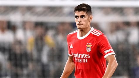 Revealed The Six Clubs Interested In Benfica Starlet Antonio Silva