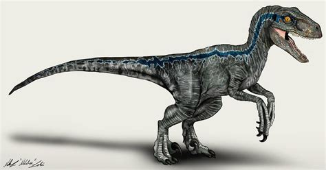 Jurassic World Velociraptor Blue By Nikorex Blue Jurassic World Jurassic World Dinosaurs
