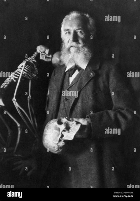 The German Naturalist Ernst Haeckel 1834 1919 In 1906 Photograph