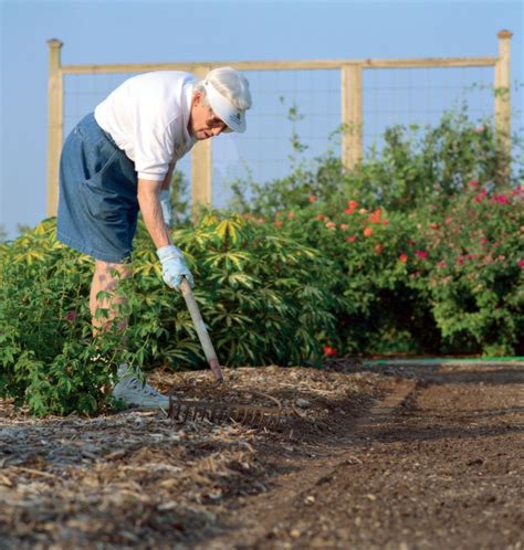 How to use gardener in a sentence. Applications being accepted for 61st Bexar County Master ...