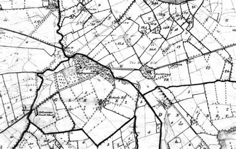 Griffiths Valuation Map 1859 For Glebe