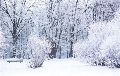 Snowy Winter Day Stock Photo Image Of Field Landscape 64664238